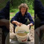 DIY Compost Worm Farm Bucket – Turn Your Food Waste into Fertilizer!