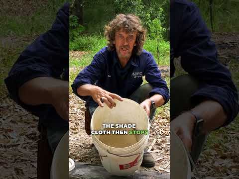 DIY Compost Worm Farm Bucket – Turn Your Food Waste into Fertilizer!