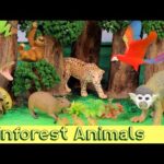 Meet the Amazon Jungle Animals | DIY Diorama