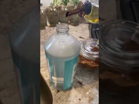 DIY Easy Soap Insecticide