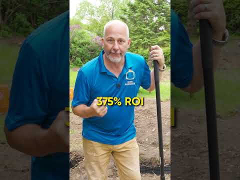 THIS Is Why I Teach Homeowners How to Renovate!