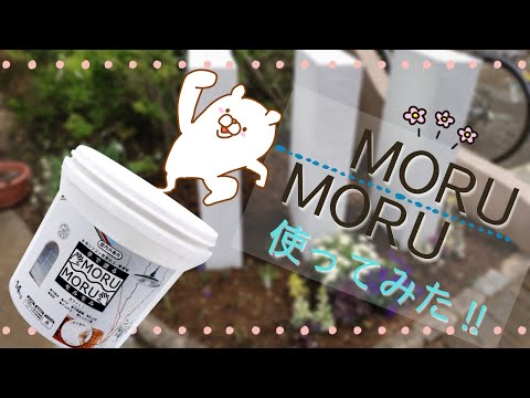 【MORUMORU】モルモルをDIYしてみました！