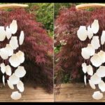 DIY // Seashell Windchime