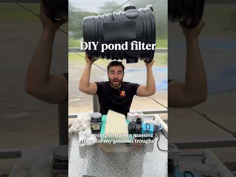 How to DIY a POND FILTER