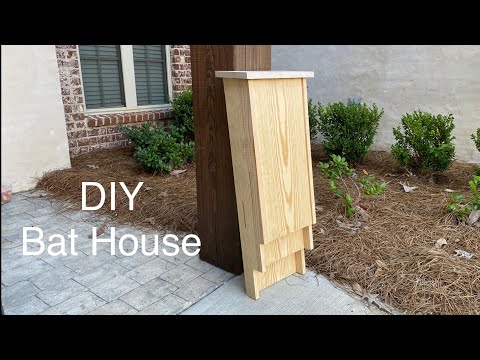 DIY Bat House and Bat Exclusion