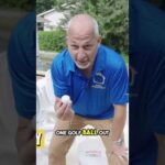 Is the Toto Toilet Worth It? I Tested To Find Out..