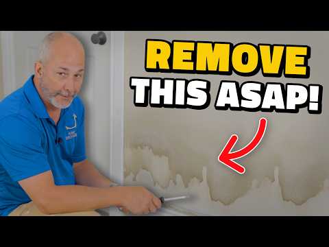 Water Damage? Do This BEFORE Mold Takes Over
