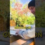 How to Install Composite Decking (Without Mistakes)