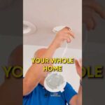 These Pot Lights Will Solve All of Your Problems