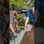 This Roof Is Made From Recycled Tires and Built for Extreme Weather